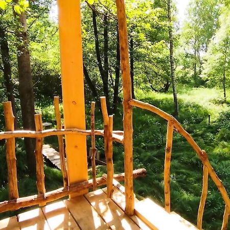 Treehouse Lea Apartment Mikulášovice Exterior foto