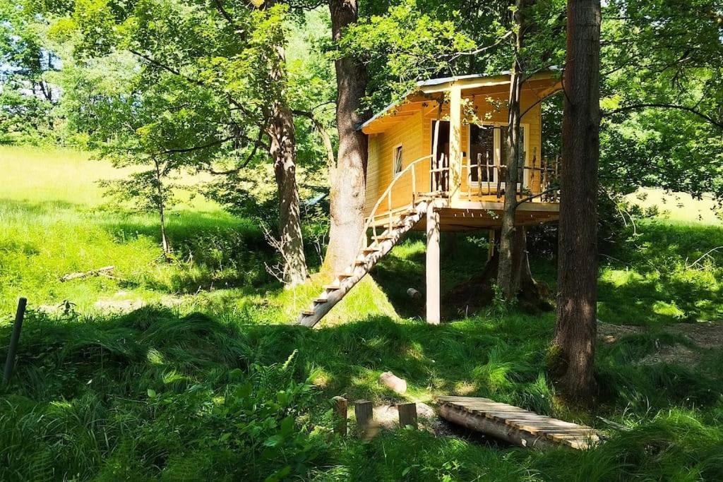 Treehouse Lea Apartment Mikulášovice Exterior foto
