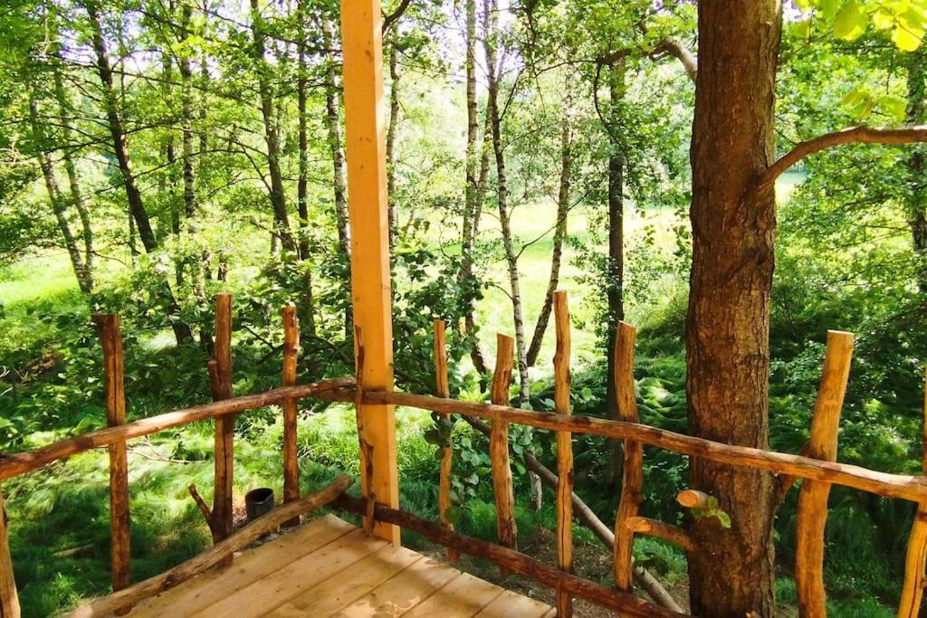 Treehouse Lea Apartment Mikulášovice Exterior foto