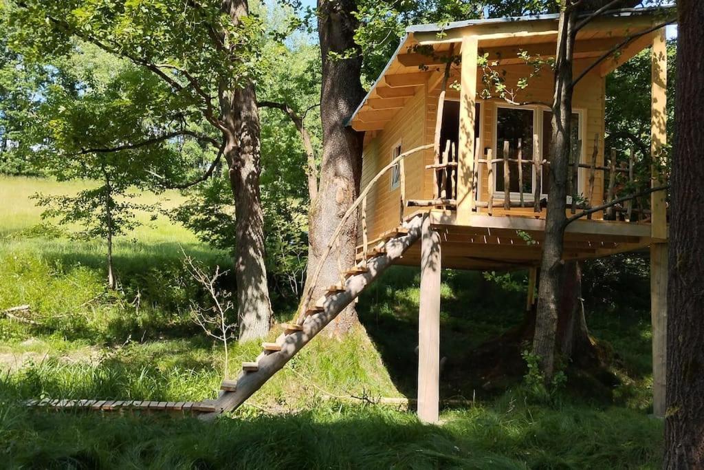Treehouse Lea Apartment Mikulášovice Exterior foto